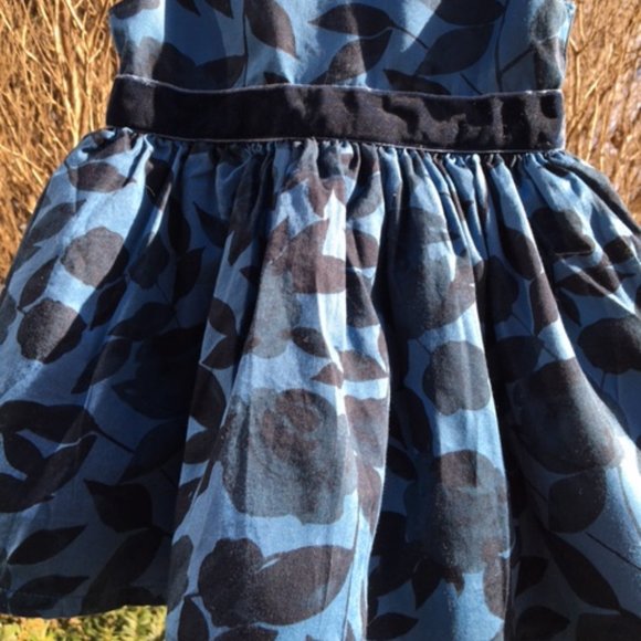 Adorable, Floral, Subtle Blues, NWOT Carter's Party Dress. 3 months - Picture 2 of 9